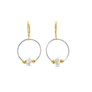 Mixed Metal Earrings - Herkermer